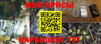 дживик Кингисепп