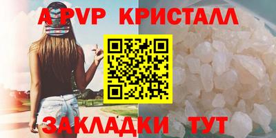 дживик Кингисепп