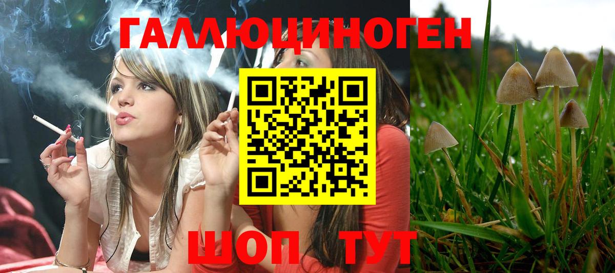 Гашиш Королёв