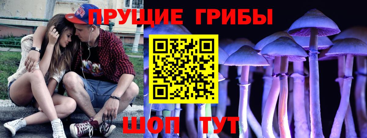 Галлюциногенные грибы GOLDEN TEACHER  Вход с VPN  Королёв 