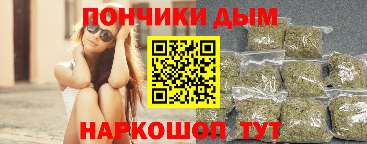 Бошки Шишки план Королёв